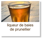 liqueur de baies de prunellier