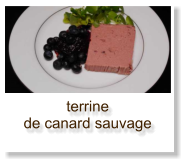 terrine de canard sauvage  