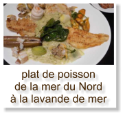 plat de poisson de la mer du Nord à la lavande de mer