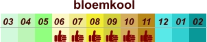 bloemkool  01 02 03 04 07 05 09 10 08 11 12 06