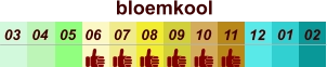 bloemkool  01 02 03 04 07 05 09 10 08 11 12 06