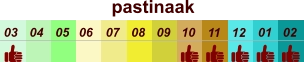 pastinaak  01 02 03 04 07 05 09 10 08 11 12 06