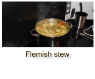 Flemish stew