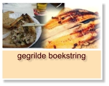 gegrilde boekstring