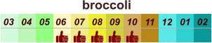 01 02 03 04 07 05 09 10 08 11 12 06 broccoli