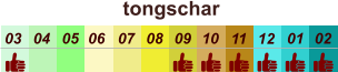 01 02 03 04 07 05 09 10 08 11 12 06 tongschar