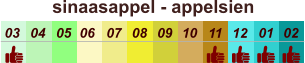 sinaasappel - appelsien  01 02 03 04 07 05 09 10 08 11 12 06