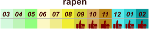 rapen  01 02 03 04 07 05 09 10 08 11 12 06