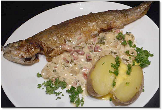 forel op Ardense wijze