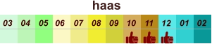 haas  01 02 03 04 07 05 09 10 08 11 12 06