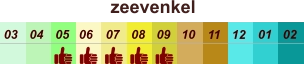 01 02 03 04 07 05 09 10 08 11 12 06 zeevenkel