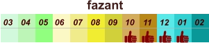 01 02 03 04 07 05 09 10 08 11 12 06 fazant