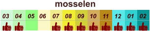 01 02 03 04 07 05 09 10 08 11 12 06 mosselen