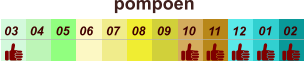 01 02 03 04 07 05 09 10 08 11 12 06 pompoen