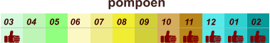 01 02 03 04 07 05 09 10 08 11 12 06 pompoen