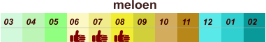 01 02 03 04 07 05 09 10 08 11 12 06 meloen