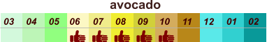 01 02 03 04 07 05 09 10 08 11 12 06 avocado