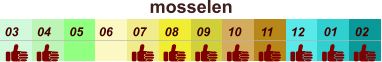 01 02 03 04 07 05 09 10 08 11 12 06 mosselen