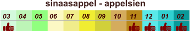 sinaasappel - appelsien  01 02 03 04 07 05 09 10 08 11 12 06