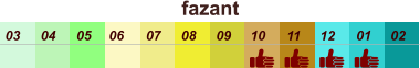 01 02 03 04 07 05 09 10 08 11 12 06 fazant