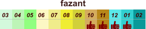 01 02 03 04 07 05 09 10 08 11 12 06 fazant