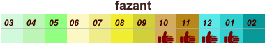 01 02 03 04 07 05 09 10 08 11 12 06 fazant