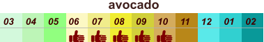 01 02 03 04 07 05 09 10 08 11 12 06 avocado