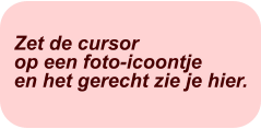 Zet de cursor op een foto-icoontjeen het gerecht zie je hier.