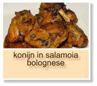 konijn in salamoia bolognese