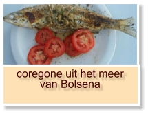 coregone uit het meer van Bolsena