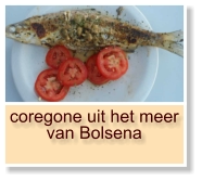 coregone uit het meer van Bolsena