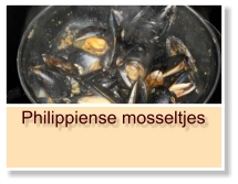 Philippiense mosseltjes