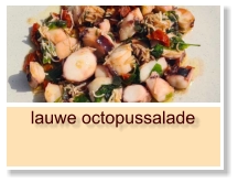 lauwe octopussalade