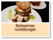 Boheemse rundsburger