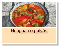 Hongaarse gulyàs