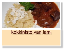 kokkinisto van lam