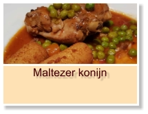 Maltezer konijn