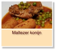 Maltezer konijn