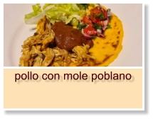 pollo con mole poblano