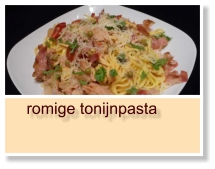 romige tonijnpasta