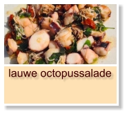 lauwe octopussalade