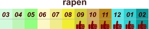 rapen  01 02 03 04 07 05 09 10 08 11 12 06