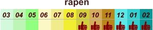 rapen  01 02 03 04 07 05 09 10 08 11 12 06